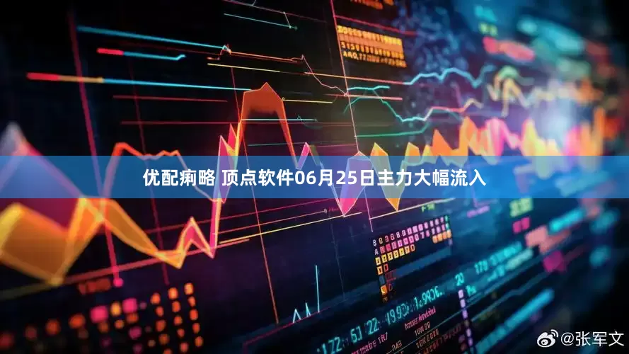 优配痢略 顶点软件06月25日主力大幅流入