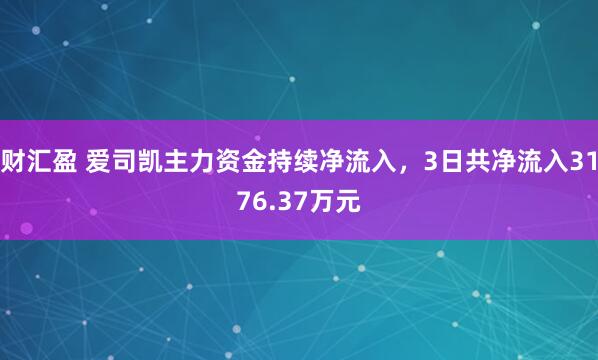 财汇盈 爱司凯主力资金持续净流入，3日共净流入3176.37万元